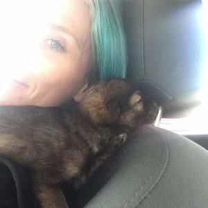 Meet your Posher, Melissa